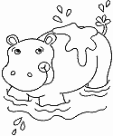 Hippopotame