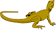 Iguane