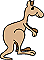 Kangourou